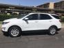 2021 WHITE /gray Chevrolet Equinox LT AWD (2GNAXUEVXM6) with an 1.5L L4 DOHC 16V TURBO engine, 6A transmission, located at 323 E Dunlap Ave., Phoenix, AZ, 85020, (602) 331-9000, 33.567677, -112.069000- Photo#2